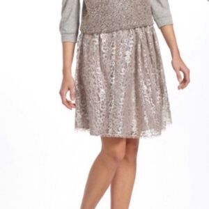 Anthro HD Paris Metallic Soft Girl Champagne Silver Lace Silk A Line Skirt 0 XS